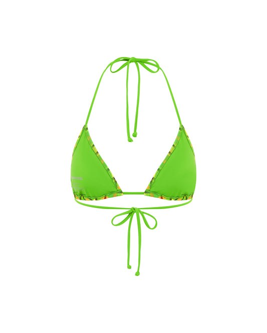 INC007_RDE_4_1747967271